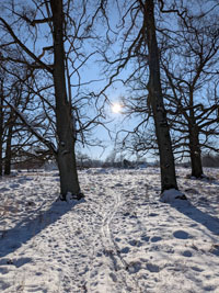 Veckans bild v 08 2026